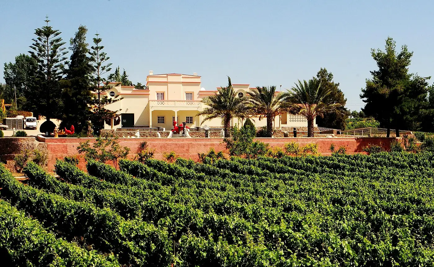 Vineyard and estate in the Algarve
