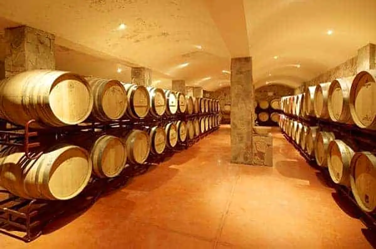 Wine barrels inside a cellar